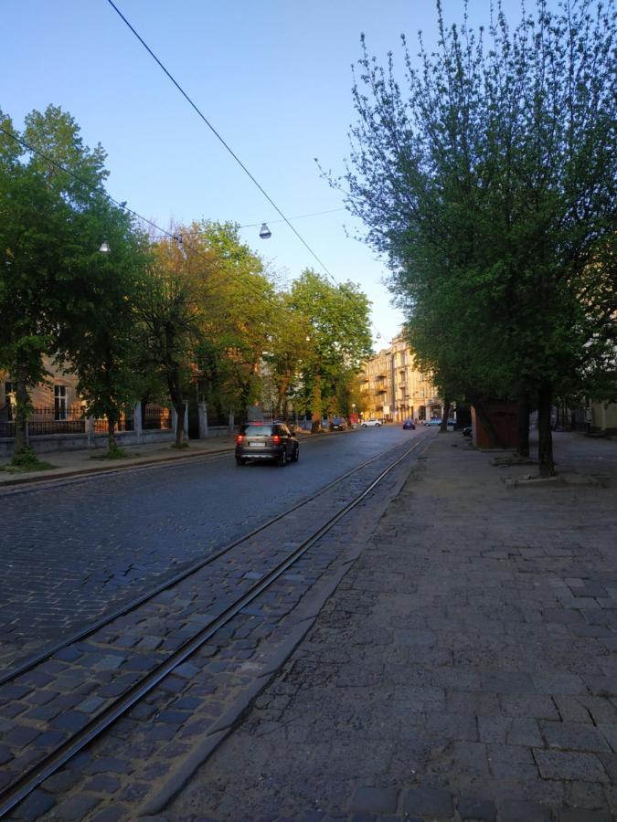 Cozy Studio For Couple Near Polytechnic University Lviv Dış mekan fotoğraf